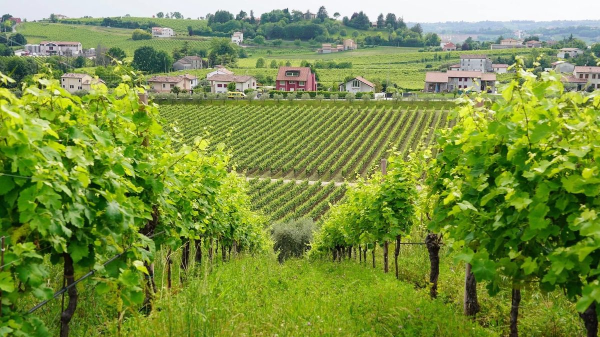 Keep Your Events from Withering on the Vine